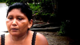 Comunidades ribeirinhas são destruídas pelos piratas na Amazônia (Reprodução)